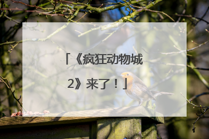 《疯狂动物城2》来了！