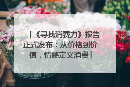 《寻找消费力》报告正式发布：从价格到价值，情感定义消费