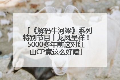 《解码牛河梁》系列特别节目丨龙凤呈祥！5000多年前这对红山CP竟这么好嗑