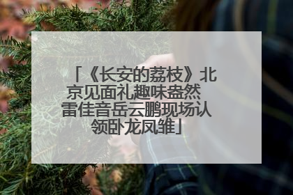 《长安的荔枝》北京见面礼趣味盎然 雷佳音岳云鹏现场认领卧龙凤雏