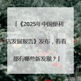 《2025年中国便利店发展报告》发布，看看都有哪些新发现？