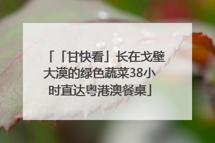 「甘快看」长在戈壁大漠的绿色蔬菜38小时直达粤港澳餐桌