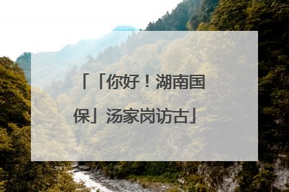 「你好！湖南国保」汤家岗访古