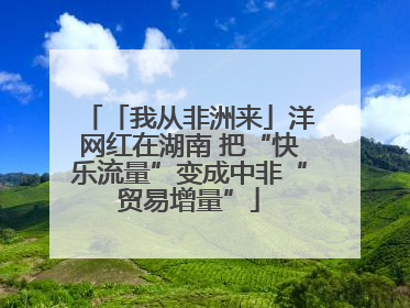 「我从非洲来」洋网红在湖南 把“快乐流量”变成中非“贸易增量”