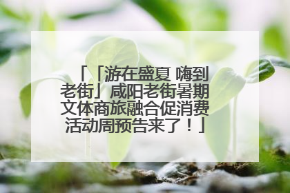 「游在盛夏 嗨到老街」咸阳老街暑期文体商旅融合促消费活动周预告来了！