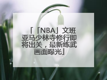 「NBA」文班亚马少林寺修行即将出关，最新练武画面曝光