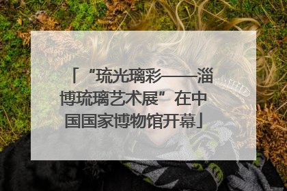 “琉光璃彩——淄博琉璃艺术展”在中国国家博物馆开幕