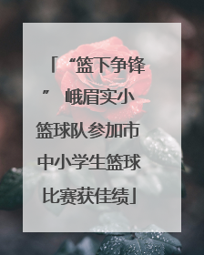 “篮下争锋” 峨眉实小篮球队参加市中小学生篮球比赛获佳绩