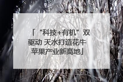 “科技+有机”双驱动 天水打造花牛苹果产业新高地