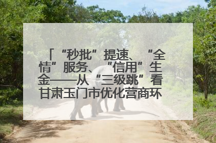 “秒批”提速、“全情”服务、“信用”生金——从“三级跳”看甘肃玉门市优化营商环境的进阶之路
