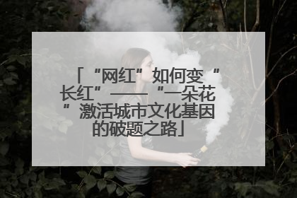 “网红”如何变“长红”——“一朵花”激活城市文化基因的破题之路