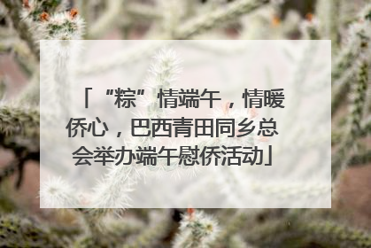 “粽”情端午，情暖侨心，巴西青田同乡总会举办端午慰侨活动