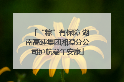 “粽”有保障 湖南高速集团湘潭分公司护航端午安康