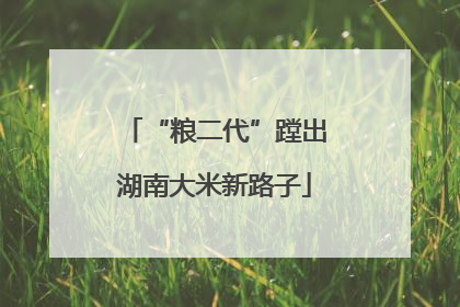 “粮二代”蹚出湖南大米新路子