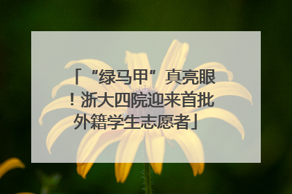 “绿马甲”真亮眼！浙大四院迎来首批外籍学生志愿者
