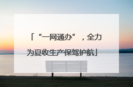“一网通办”，全力为夏收生产保驾护航