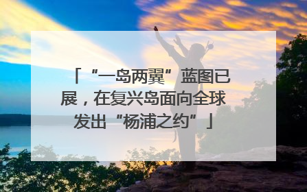 “一岛两翼”蓝图已展，在复兴岛面向全球发出“杨浦之约”