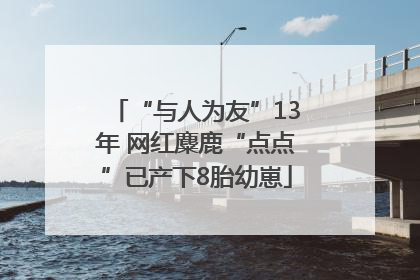 “与人为友”13年 网红麋鹿“点点”已产下8胎幼崽