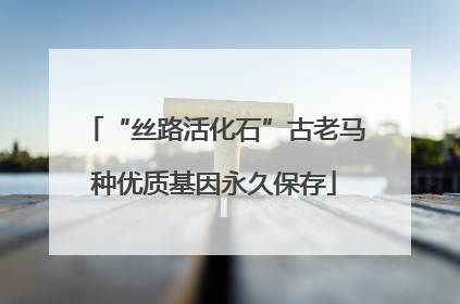 “丝路活化石”古老马种优质基因永久保存