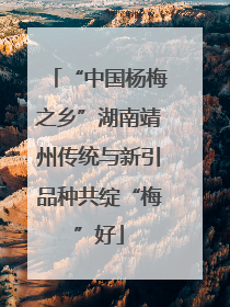 “中国杨梅之乡”湖南靖州传统与新引品种共绽“梅”好