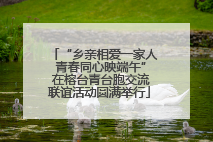 “乡亲相爱一家人 青春同心映端午” 在榕台青台胞交流联谊活动圆满举行