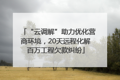 “云调解”助力优化营商环境，20天远程化解百万工程欠款纠纷