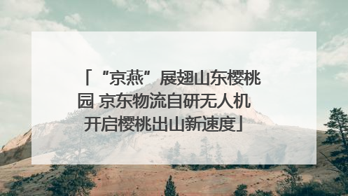 “京燕”展翅山东樱桃园 京东物流自研无人机开启樱桃出山新速度