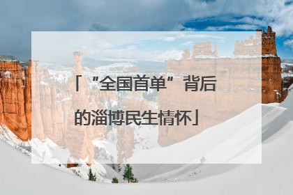 “全国首单”背后的淄博民生情怀