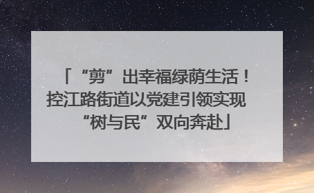 “剪”出幸福绿荫生活！控江路街道以党建引领实现“树与民”双向奔赴