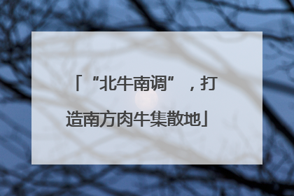 “北牛南调”，打造南方肉牛集散地
