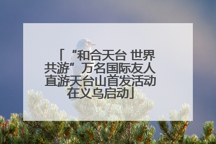 “和合天台 世界共游”万名国际友人直游天台山首发活动在义乌启动