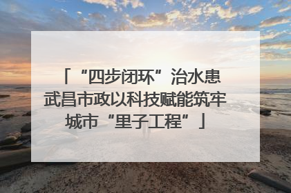 “四步闭环”治水患 武昌市政以科技赋能筑牢城市“里子工程”