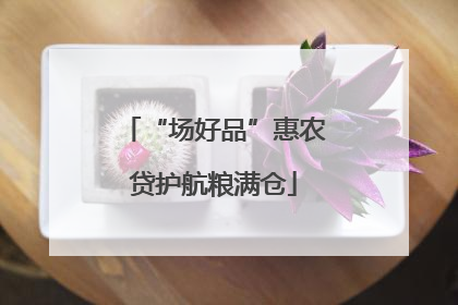 “场好品”惠农贷护航粮满仓