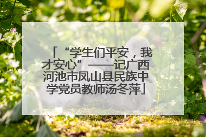 “学生们平安，我才安心”——记广西河池市凤山县民族中学党员教师汤冬萍