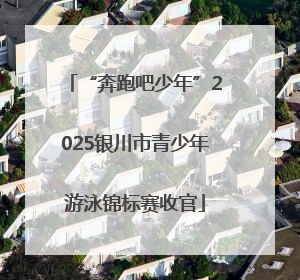“奔跑吧少年”2025银川市青少年游泳锦标赛收官