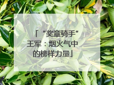 “奖章骑手”王军：烟火气中的榜样力量