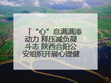 “心”意满满添动力 释压减负凝斗志 陕西合阳公安组织开展心理健康团体辅导活动