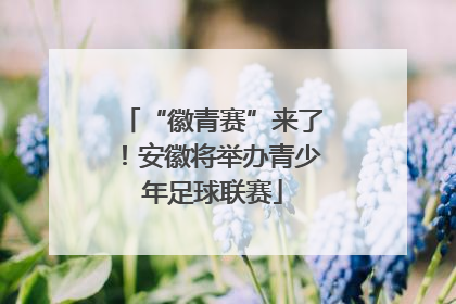 “徽青赛”来了！安徽将举办青少年足球联赛