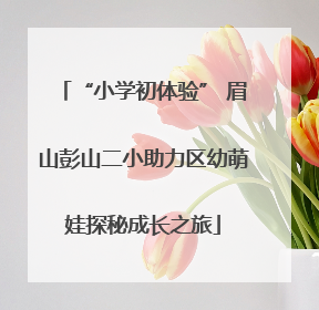 “小学初体验” 眉山彭山二小助力区幼萌娃探秘成长之旅