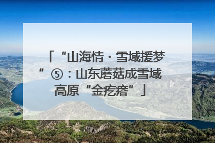 “山海情・雪域援梦”⑤：山东蘑菇成雪域高原“金疙瘩”