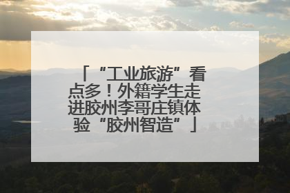 “工业旅游”看点多！外籍学生走进胶州李哥庄镇体验“胶州智造”