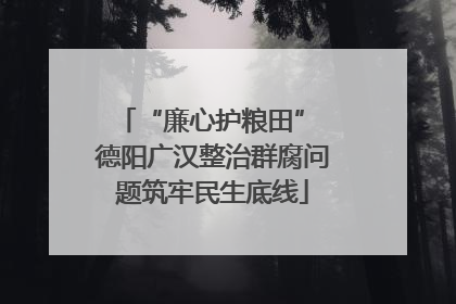 “廉心护粮田” 德阳广汉整治群腐问题筑牢民生底线
