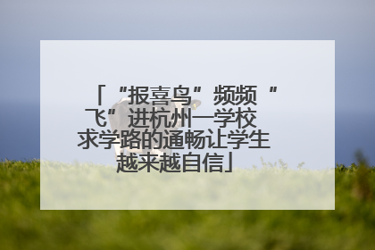 “报喜鸟”频频“飞”进杭州一学校 求学路的通畅让学生越来越自信