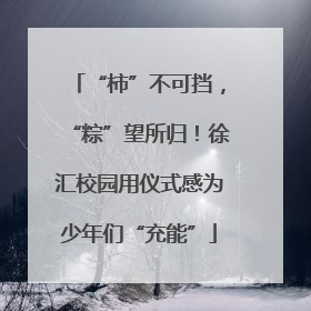 “柿”不可挡，“粽”望所归！徐汇校园用仪式感为少年们“充能”