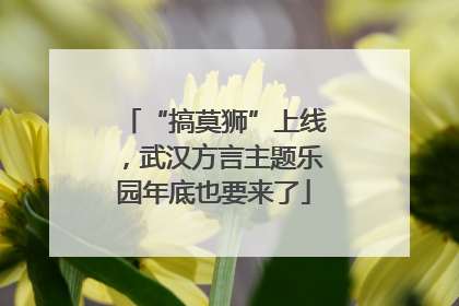 “搞莫狮”上线，武汉方言主题乐园年底也要来了