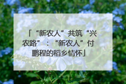 “新农人”共筑“兴农路”：“新农人”付鹏程的稻乡情怀