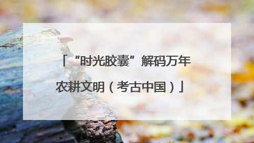 “时光胶囊”解码万年农耕文明（考古中国）