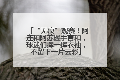 “无痕”观赛！阿连和阿苏握手言和，球迷们挥一挥衣袖，不留下一片云彩