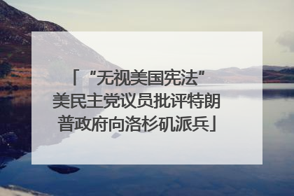 “无视美国宪法” 美民主党议员批评特朗普政府向洛杉矶派兵