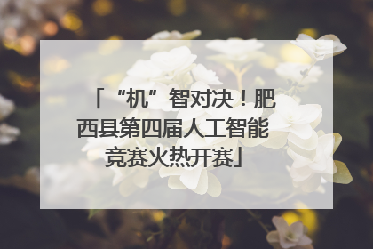 “机”智对决！肥西县第四届人工智能竞赛火热开赛
